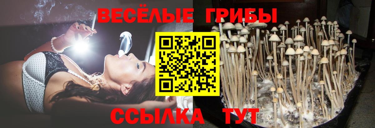 наркошоп  Псилоцибиновые грибы мицелий  Вход с VPN  Белореченск  Псилоцибиновые грибы ЛСД 